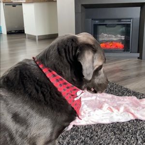 Meet your Posher, Laurie